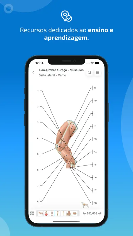 IMAIOS vet-Anatomy screenshot 6 of 9