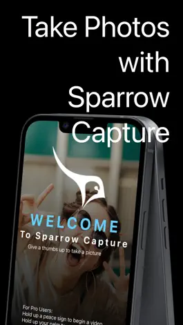 Game screenshot Sparrow Capture mod apk