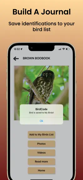 Game screenshot BirdCode hack