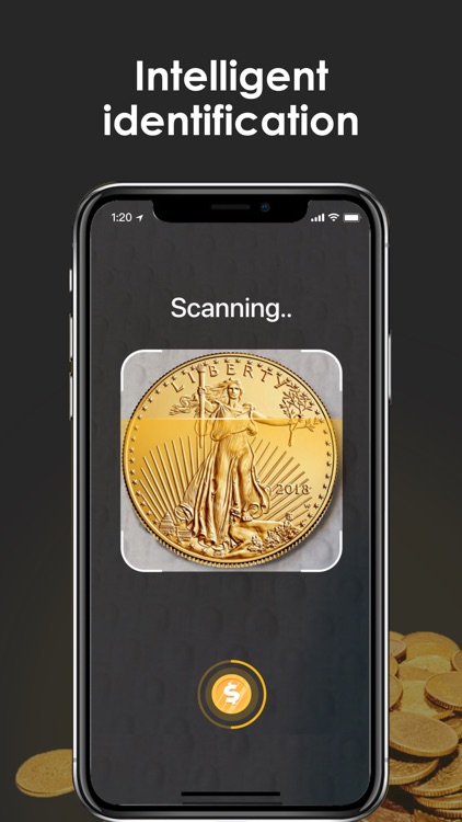 iCoin - Identify Coins Value