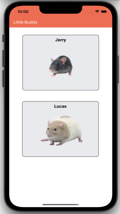 LittleBuddy mouse game Screenshot