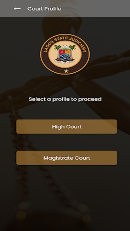 Lagos State Judiciary Docket screenshot-3