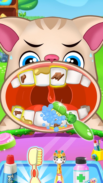 Pet Doctor Dental Care Game