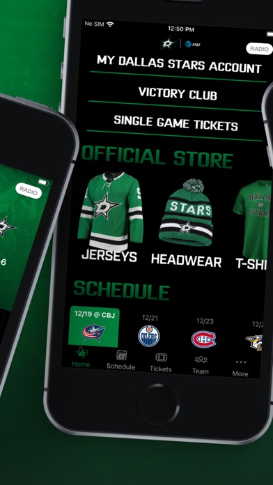 Dallas Stars Screenshot