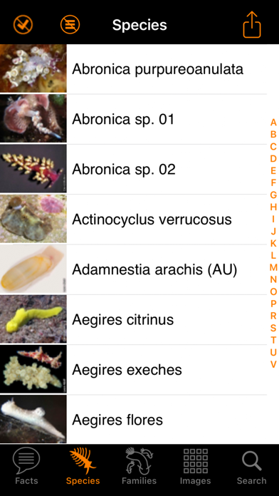 Nudibranch ID Australia NZ Screenshot