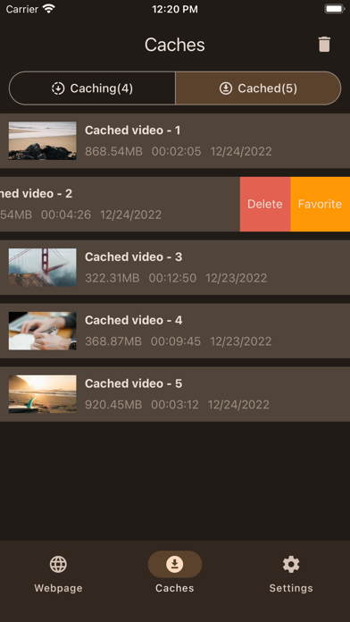 Video Cacher Screenshot