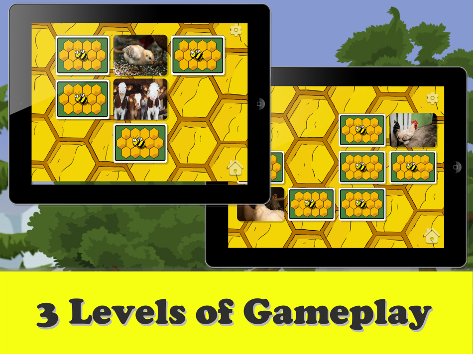 #5. My Learning Bee (iOS) 由: The Jeff and Jen Show