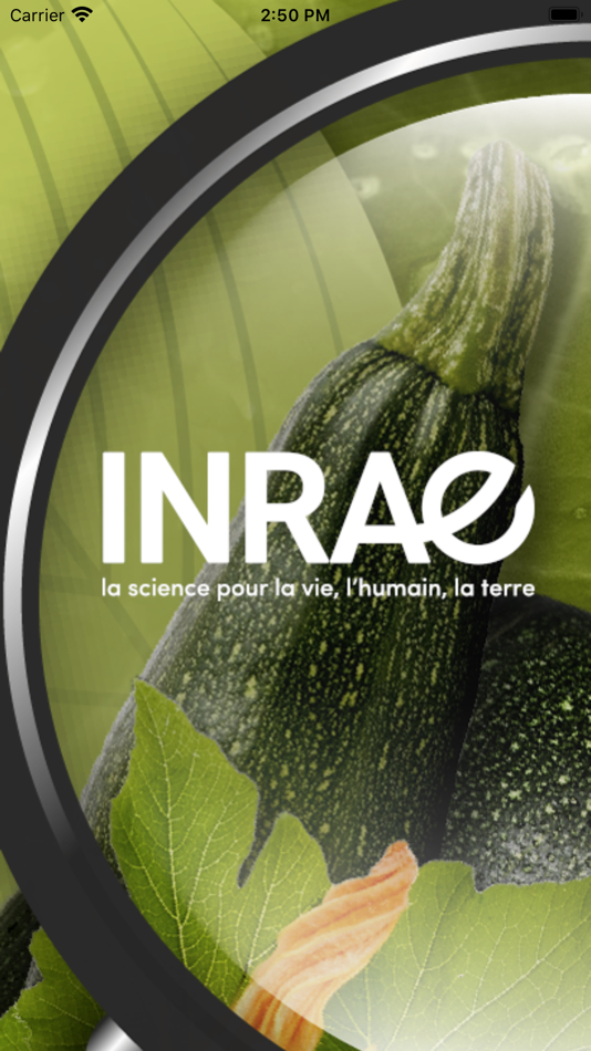 #1. Di@gnoplant Courgette (iOS) 由: INRA
