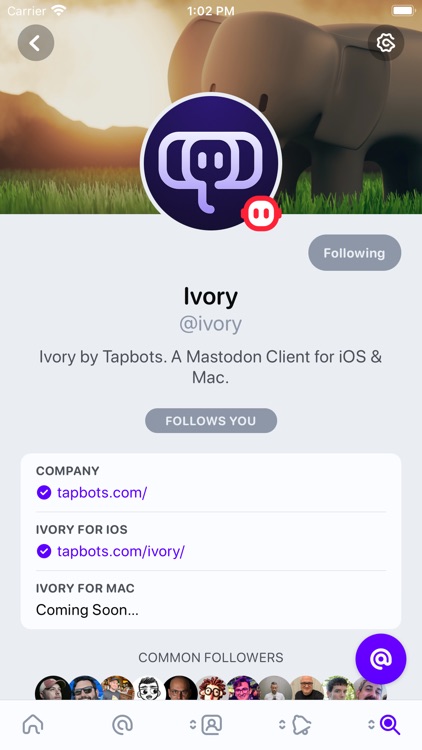 Ivory for Mastodon by Tapbots