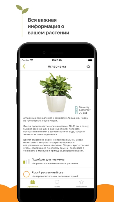 Комнатные растения Screenshot