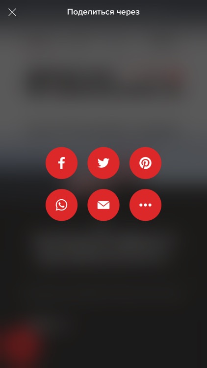 «Директор по безопасности» B2B screenshot-3