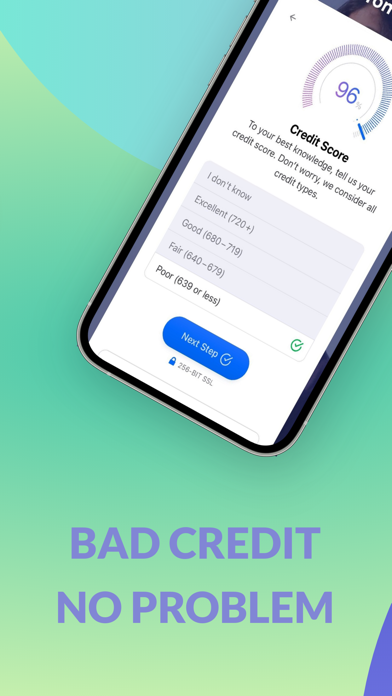Loans for Bad Credit: USA Screenshot