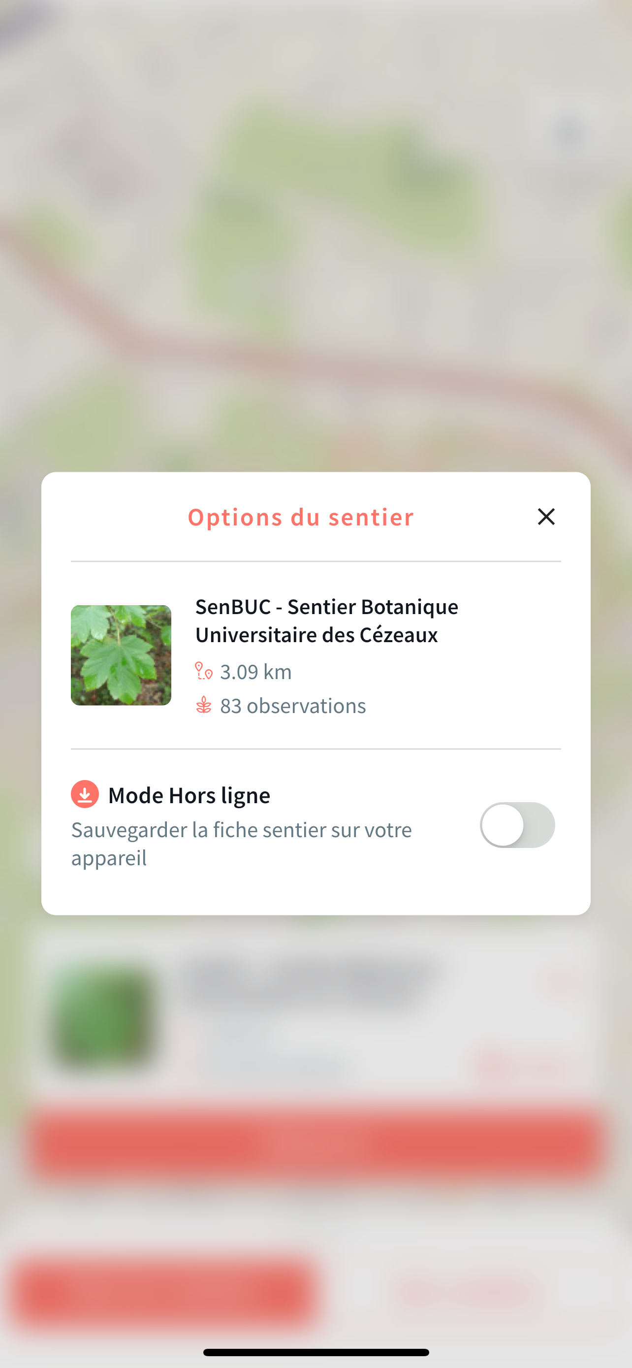 Smart'Flore