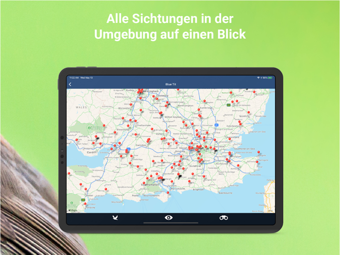 Vogelstimmen Id - RufeGesänge