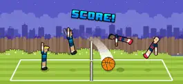 Game screenshot Volley Random apk