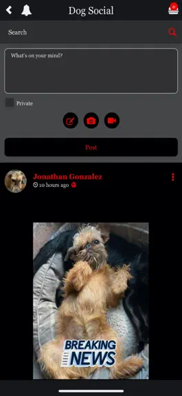 Game screenshot Paws In Love apk