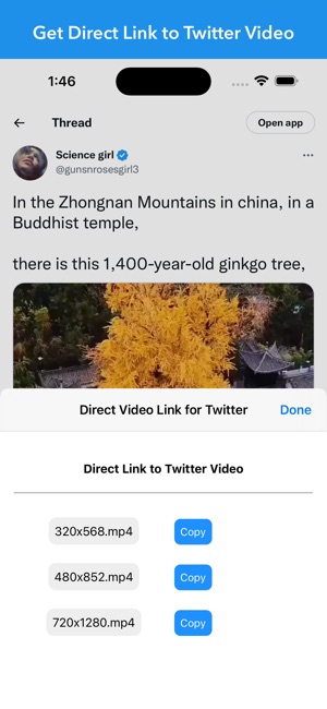 Video Link for Twitter on the App Store