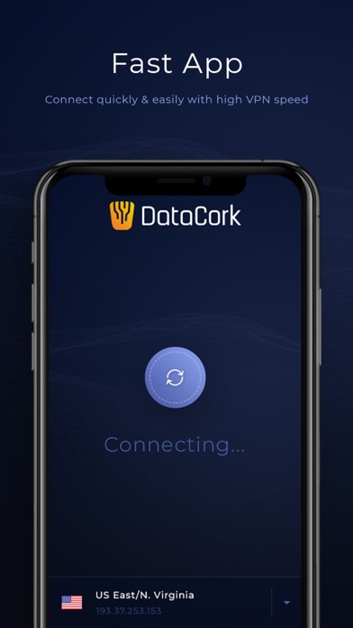 DataCork VPN Platform Screenshot