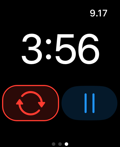 iRegatta Watch