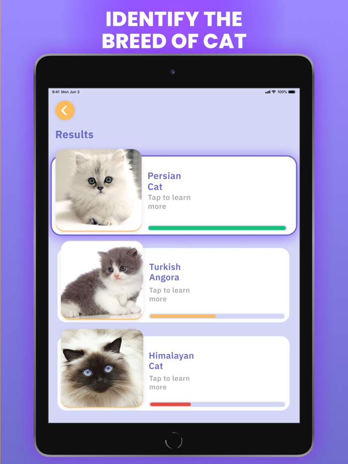 Cat Scanner  Breed Identifier