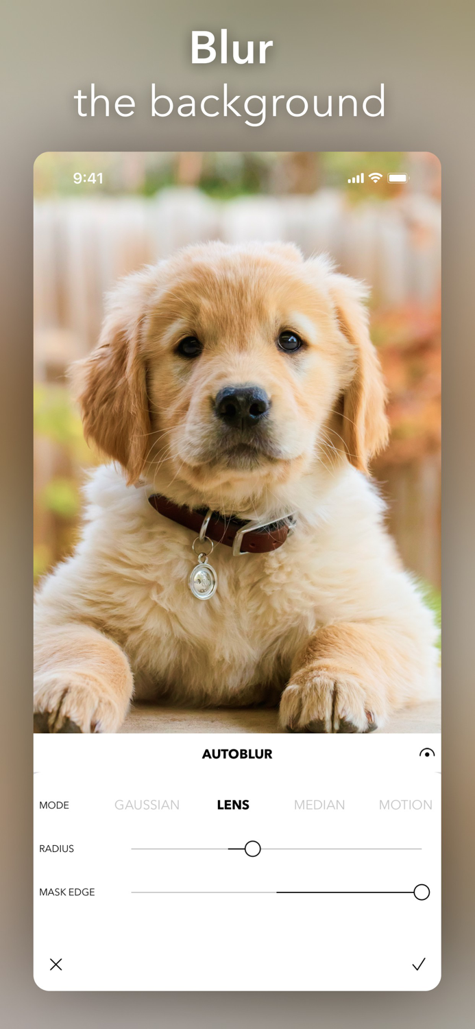 PicTapGo Photo Editor Pic