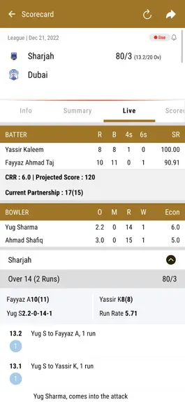 Game screenshot Emirates Cricket Board hack