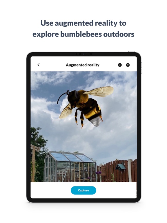 What’s that bumblebee screenshot 3