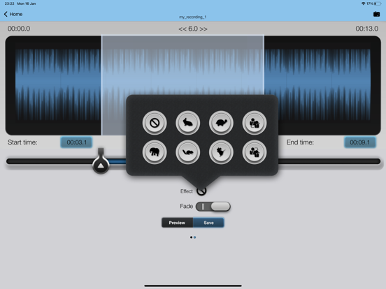 MP3 2 Ringtone iPad app afbeelding 3