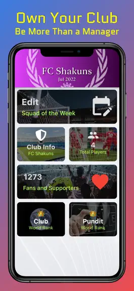 Game screenshot FootKing- Football Fantasy hack