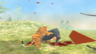 Tiger Games: Animal Games Screenshot