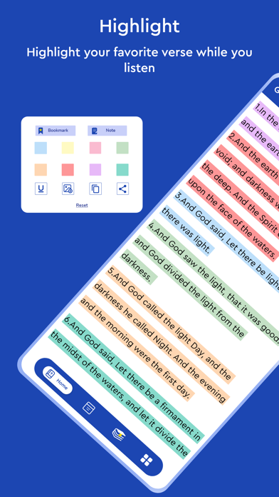 Hindi Bible - The Holy Version Screenshot