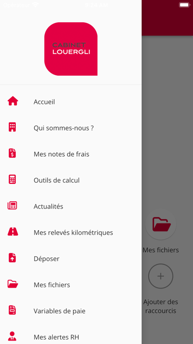 Screenshot #3 pour Cabinet Louergli