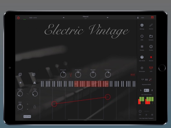 Electric Vintage iPad app afbeelding 4