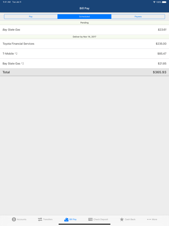 Bratt Bank iPad screenshot 3 - Finance app