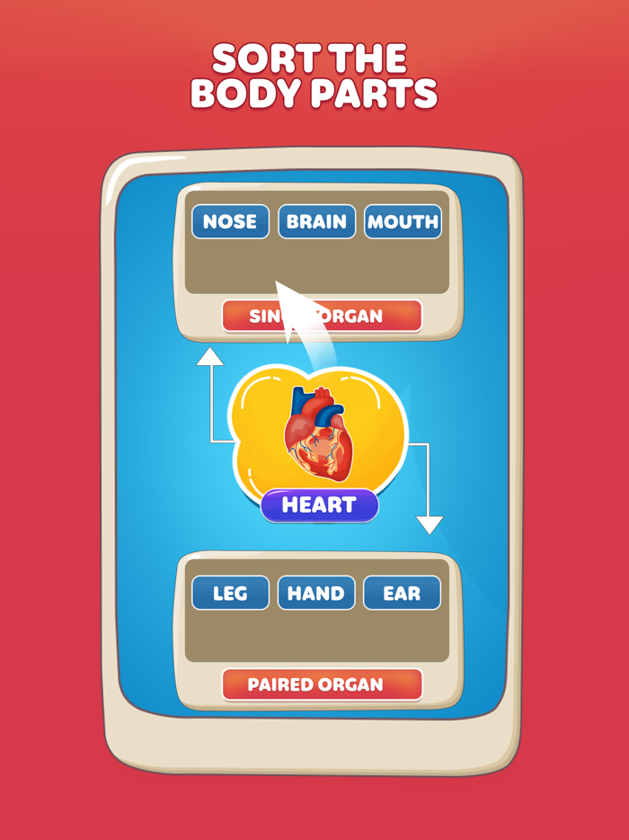 Body Parts Game Fun Learning