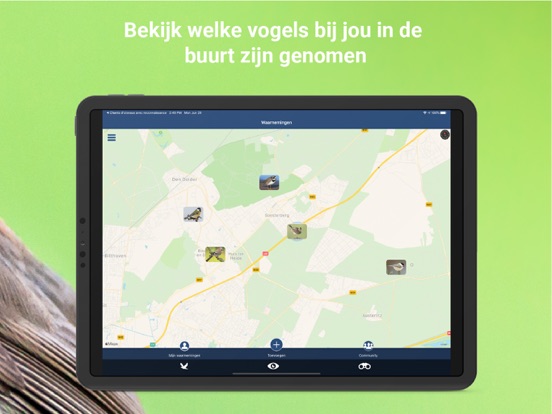 Vogelzang Id Nederland iPad app afbeelding 9