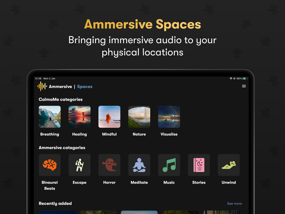 Ammersive Spaces - 1.0 - (iOS)
