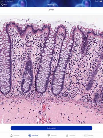 Patología Clínicaのおすすめ画像5