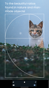 Golden Ratio Camera. Perfect screenshot