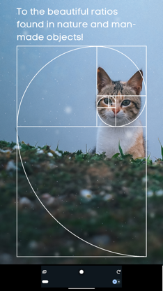 Golden Ratio Camera. Perfect screenshot 5