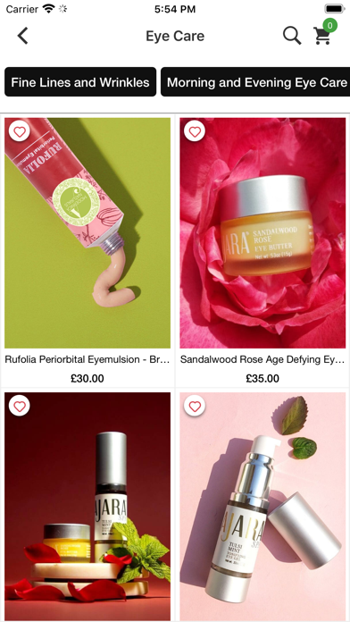 The Ayurveda Experience UK Screenshot