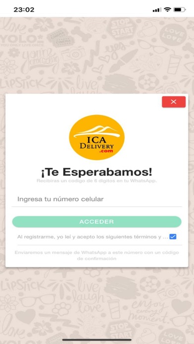 Ica Delivery screenshot 2