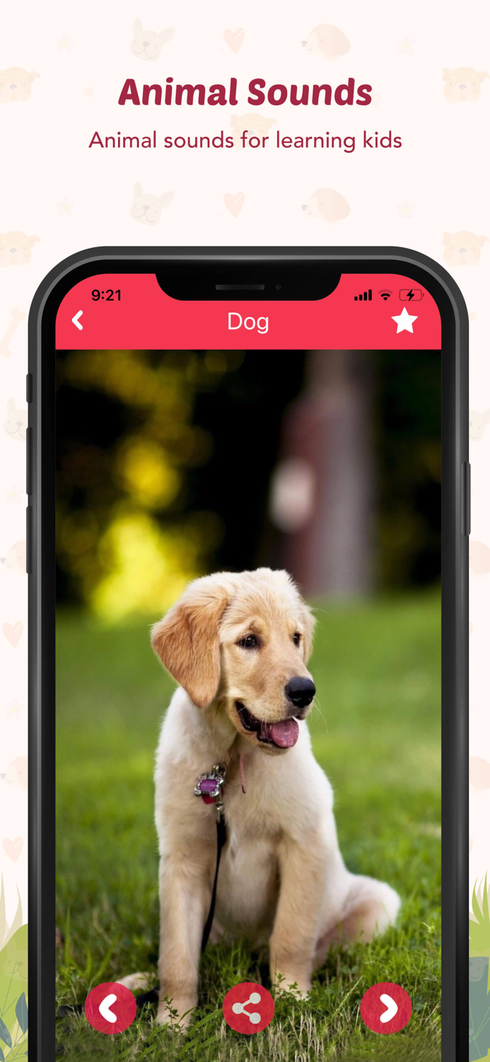 Animal Sounds for Kids.