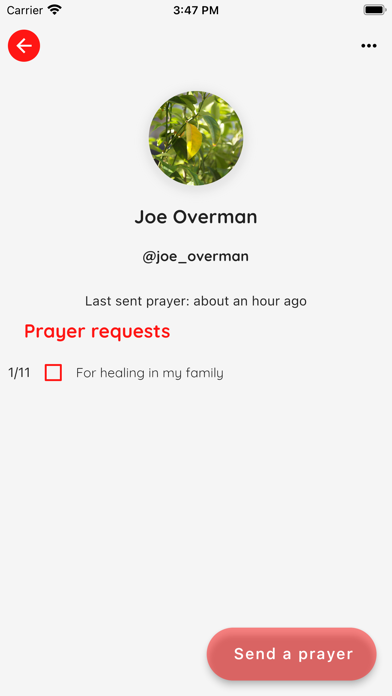 Prayed4 Screenshot