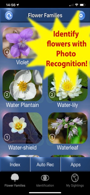 Wildflower Id Usa Photo Recog On The