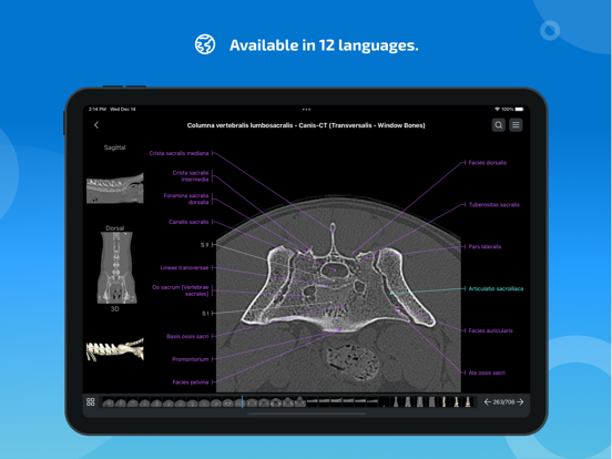 IMAIOS vet-Anatomy iPad app afbeelding 7