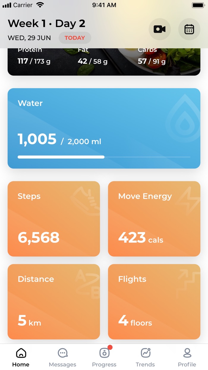 Tara Mazanec Wellness