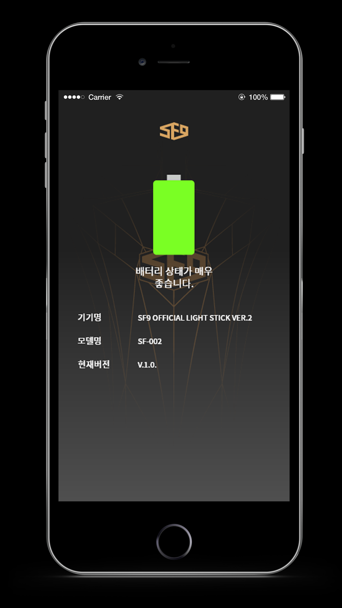 SF9 OFFICIAL LIGHT STICK