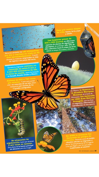 Muy Interesante Junior screenshot-4