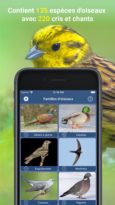 Chants d’oiseaux automatique Screenshot